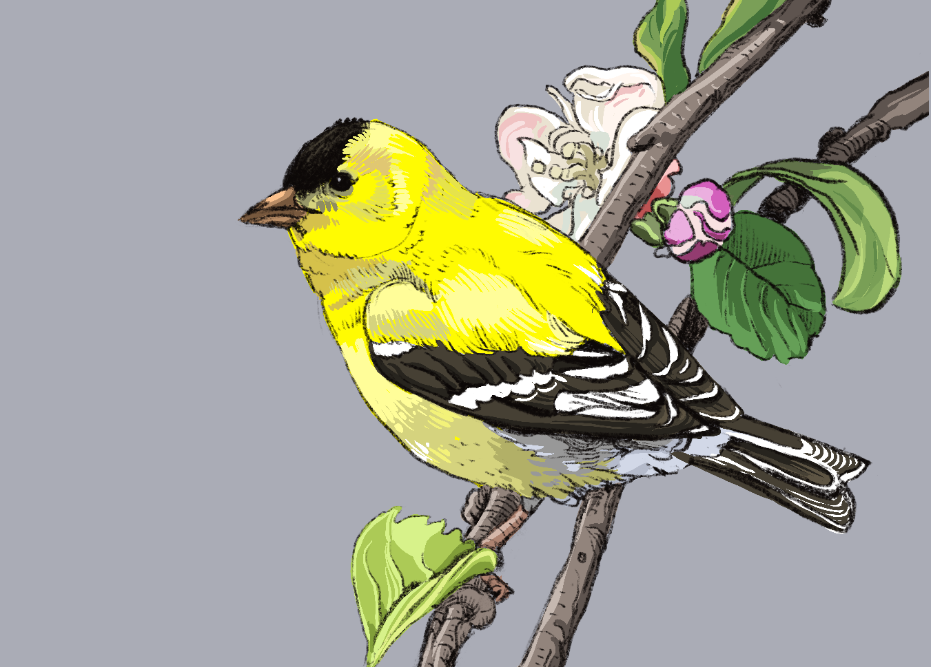 Go to Youtube Game Dev Playlist